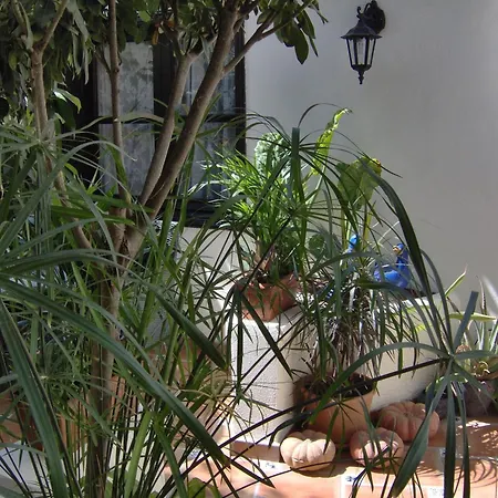 Mit Kleiner Innenhof-terrasse Im Mediterranen Stil Icod De Los Vinos