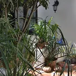 Mit Kleiner Innenhof-terrasse Im Mediterranen Stil Icod De Los Vinos