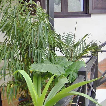 Mit Kleiner Innenhof-terrasse Im Mediterranen Stil アパート