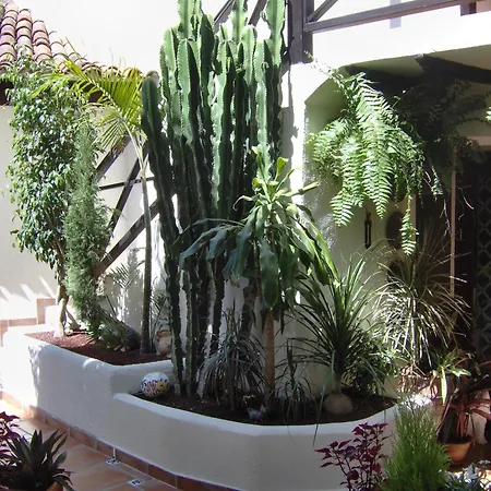 Mit Kleiner Innenhof-terrasse Im Mediterranen Stil アパート イコー・デ・ロス・ビノス