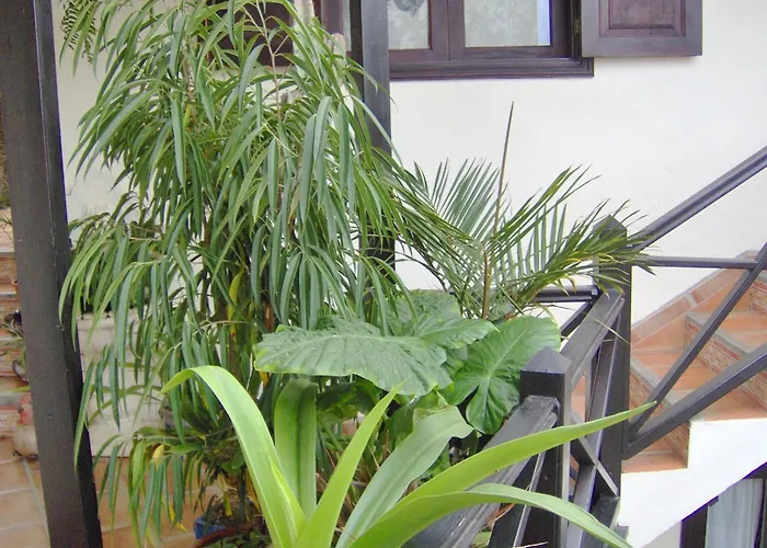 Mit Kleiner Innenhof-terrasse Im Mediterranen Stil アパート