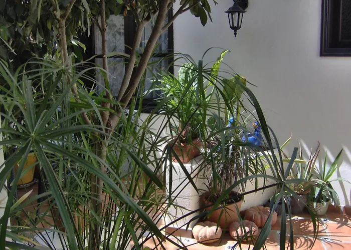 Mit Kleiner Innenhof-terrasse Im Mediterranen Stil 伊科德·德·洛斯·维诺斯