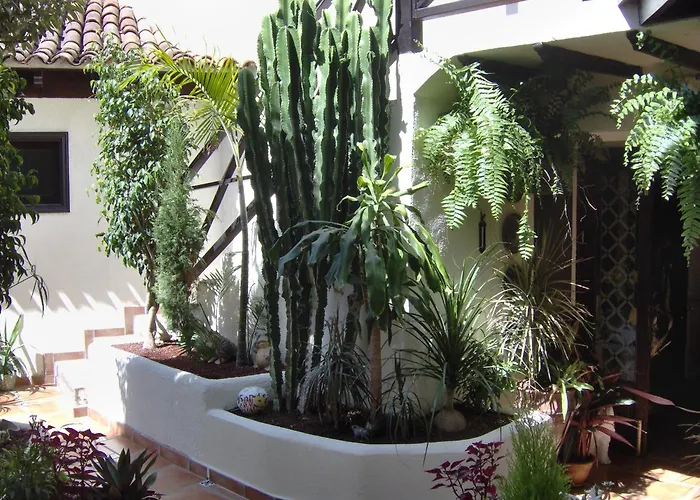 Mit Kleiner Innenhof-terrasse Im Mediterranen Stil 公寓 伊科德·德·洛斯·维诺斯